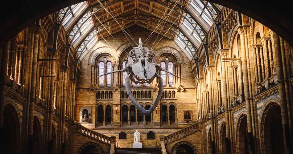 Top 10 Things to Do in London